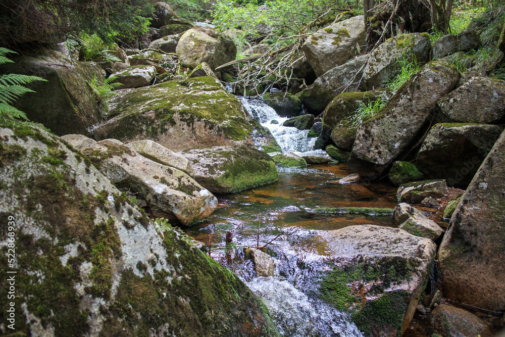 Harz, Wandern zum Brocken, Bachlauf zum Hotel Steinerne Renne Harz, Wandern zum Brocken, Bachlauf zum Hotel Steinerne Renne