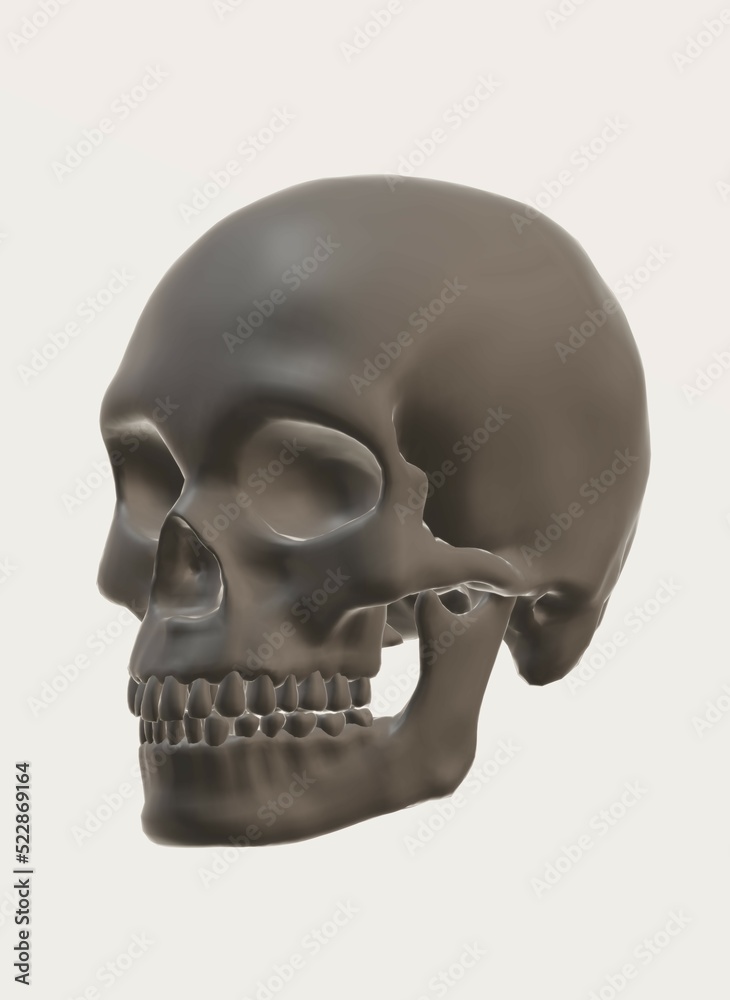 Obraz premium human skull isolated on white