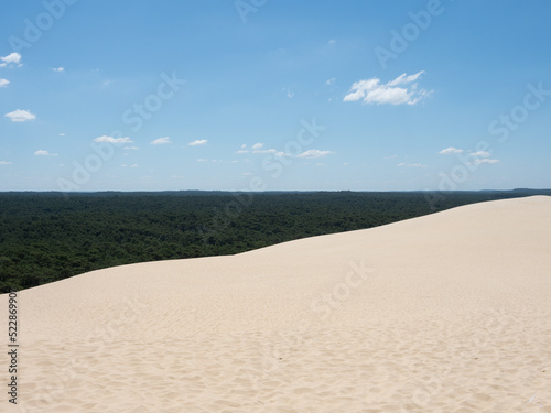 Panoramic view from on top on top of Dune of Pilat in Arcachon