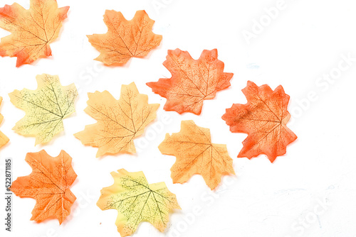 Autumn composition. Dried leaves on white background. Autumn  fall  thanksgiving day concept. Flat lay  top view  copy space