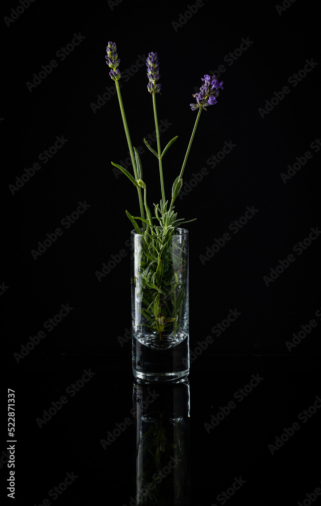 Three lavender stems placed in a shot glass reflecting on black background Three lavender stems placed in a shot glass reflecting on black background