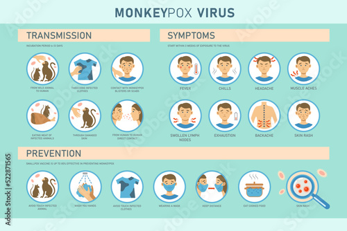 Monkeypox virus transmission, symptoms and prevention infographics with icons. Vector flat illustration for medical concept. Design for banner, poster, flyer.
