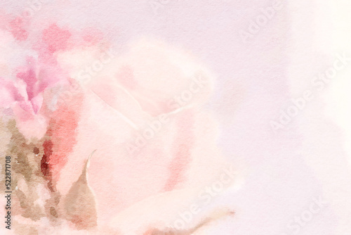 Romantic flower watercolor painting close up of pink rose.