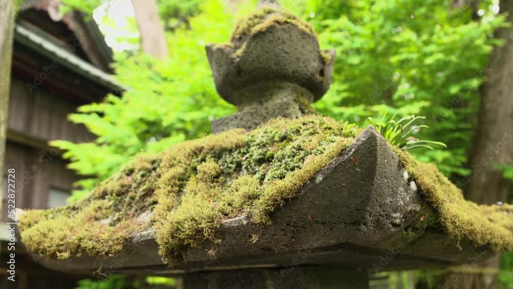 神社の境内 石灯篭 灯篭 神社の境内 石灯篭 灯篭