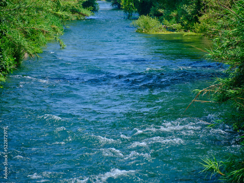 beautiful river in the forest