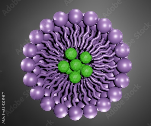 Isolated micelle contains nanomedicine as drug delivery system 3d rendering photo