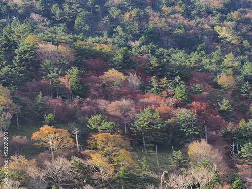 夕陽に照らされた秋の山