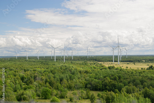 Beautiful landscape with Wind generators in the field with forest
