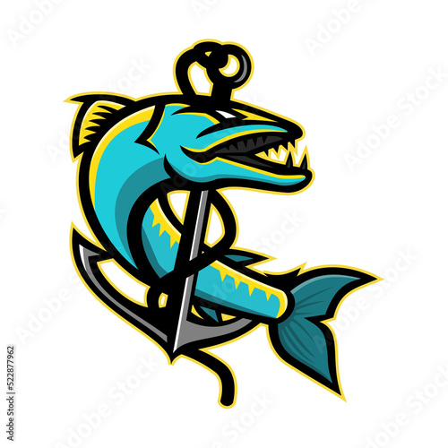 Barracuda and Anchor Mascot photo