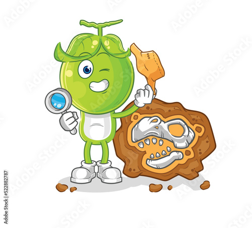 pea head archaeologists with fossils mascot. cartoon vector