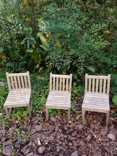 bench in the garden