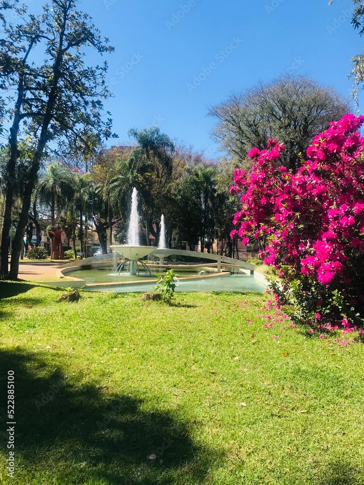 Obraz premium fountain in the park