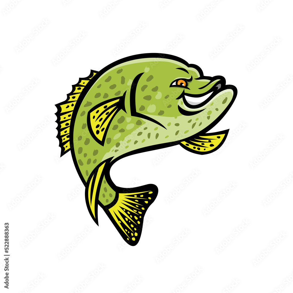 Obraz premium Crappie Fish Mascot