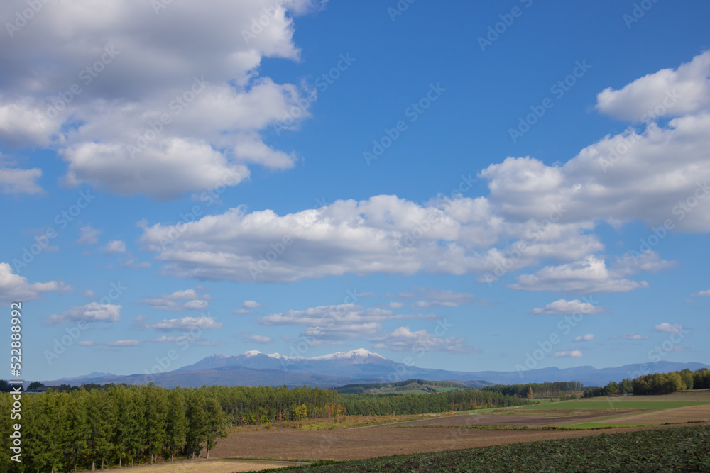 秋の丘陵畑作地帯と青空
