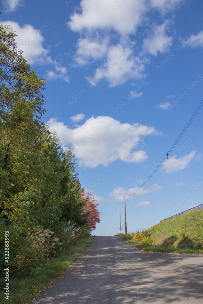 秋の坂道と青空
