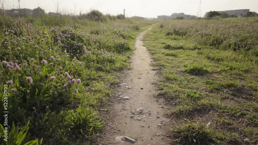 Walking ahead on a path in the spring grass Walking ahead on a path in the spring grass