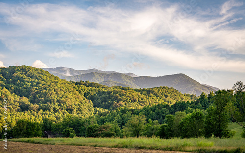 Tree, Field, Moutain, like the Hobbit World