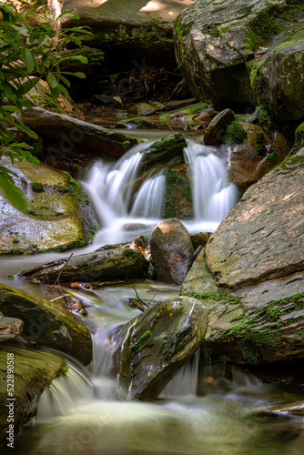 Small Waterfall in the Forest
