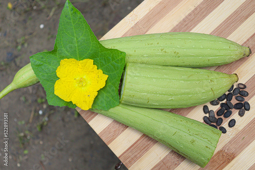 sponge gourd with flower and leaf photo