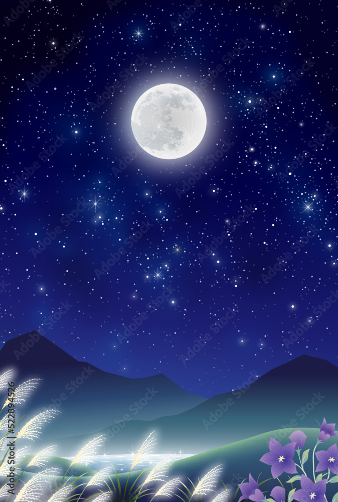 Fototapeta premium 中秋の名月 十五夜 桔梗 ススキ 野原