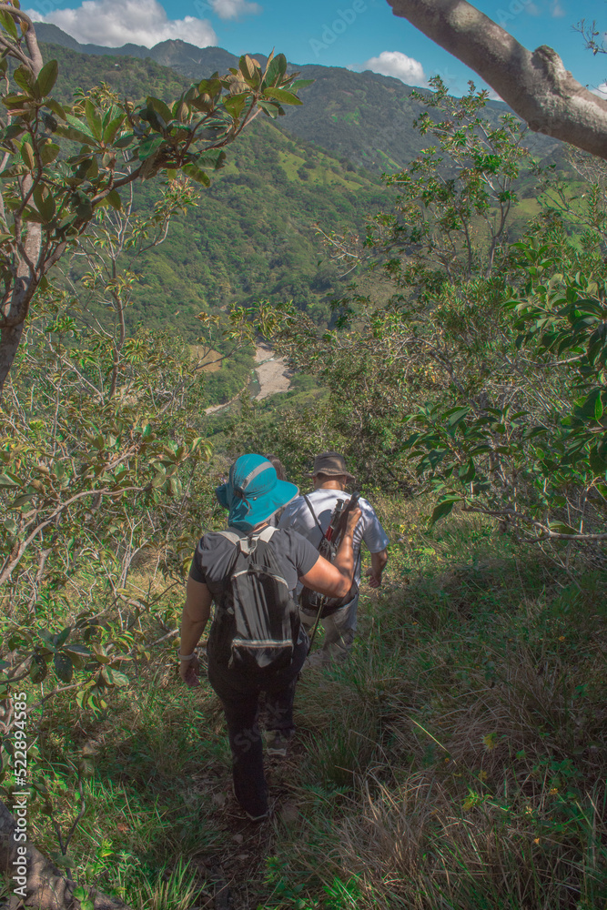 a group of hikers walking surrounded by the landscape of the green mountains