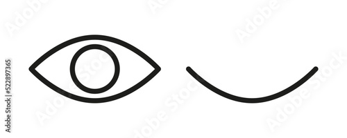 Password hidding icons set. Icons open and closed eyes. Outline vector illustration