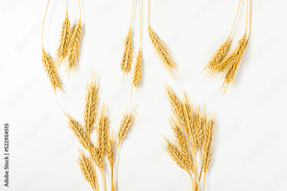 Fototapeta premium Ripe wheat ears isolated on white background. Top view, flat lay
