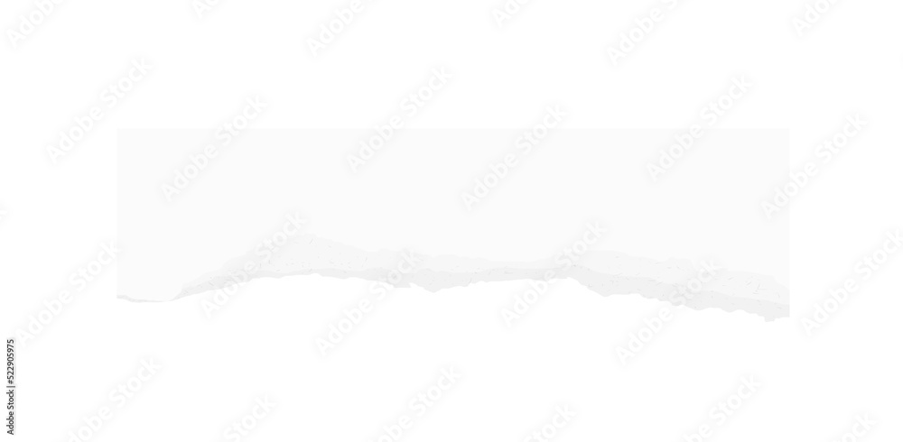 Torn paper background. Ripped paper sheet. Note paper. Torn paper background. Ripped paper sheet. Note paper.