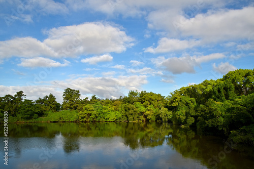 池の上空に白い雲が沢山浮かんでいる風景