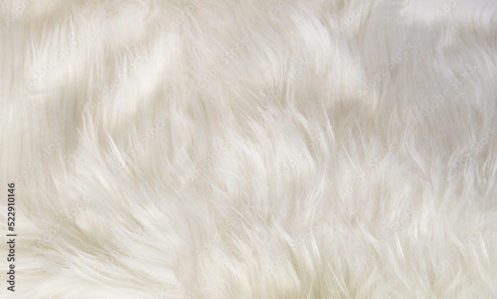 white fur white fur