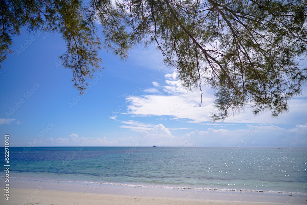 Tropical beach with sand and palm tree
Tropical beach with sand and palm tree