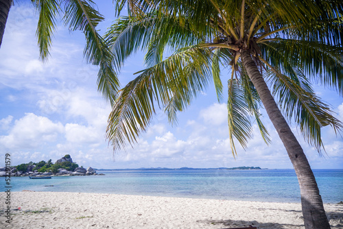 Fototapeta Naklejka Na Ścianę i Meble -  Tropical beach with sand and palm tree
