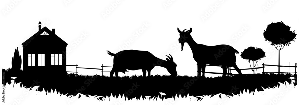 custom made wallpaper toronto digitalGoats grazing on pasture. Picture silhouette. Farm pets. Animals for milk and dairy products. Isolated on white background. Vector