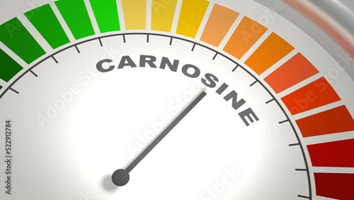 Abstract meter with scale reading low level of carnosine or L-carnosine food supplement. 3D render photo