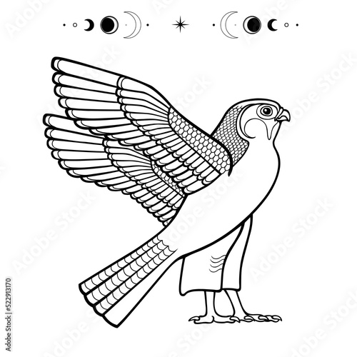 Animation monochrome drawing:  sacred Egyptian Falcon bird. God Horus - deity of heaven and sun. View profile. Vector illustration isolated on a white background.