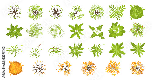 Trees and plants top view for landscape design. Icon set of colored trees and grass for architectural map, plan. Green space. Element isolated on white. Vector illustration. Kit for design project