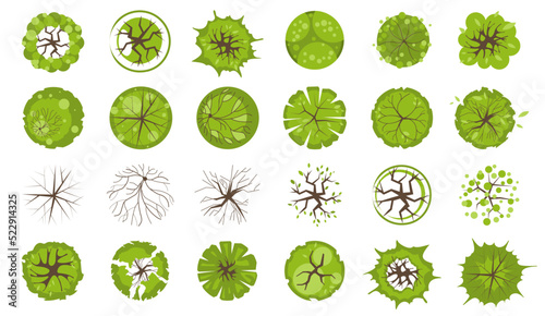 Trees and plants top view for landscape design. Icon set of colored trees and grass for architectural map, plan. Green space. Element isolated on white. Vector illustration. Kit for design project