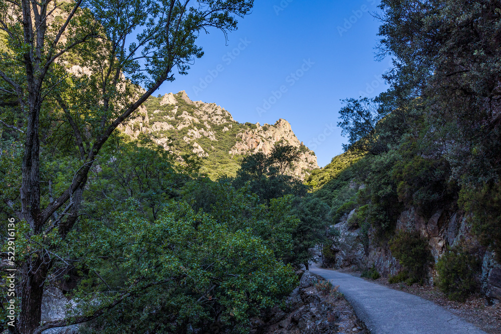 Vue sur les montages autour des Gorges de l'Héric peu après le lever du soleil