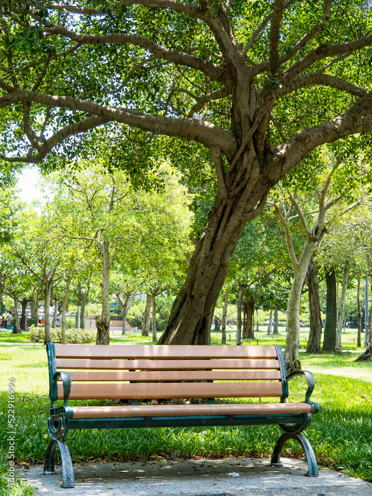 Public park in summer, green alley, footpath and old-fashioned wooden bench in the shade of trees, sunny day.