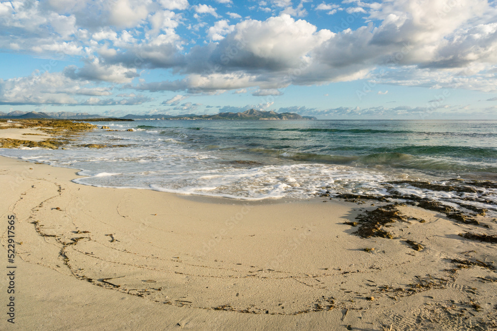 playa de Es Dolç, Son Real, bahia de Alcudia, Santa Margarida, Mallorca, balearic islands, spain, europe playa de Es Dolç, Son Real, bahia de Alcudia, Santa Margarida, Mallorca, balearic islands, spain, europe