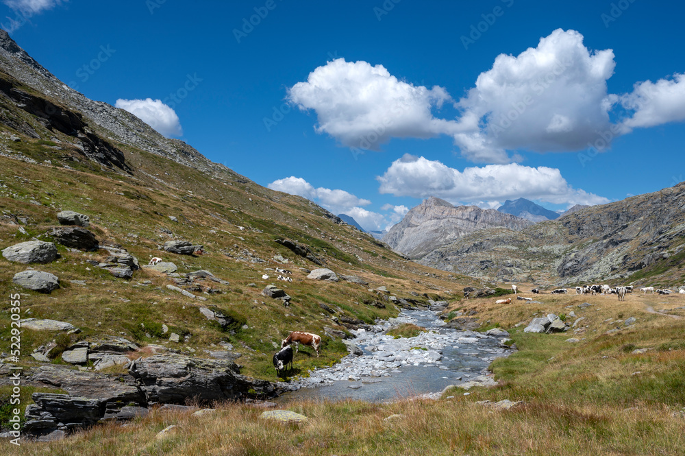 Paysage de montagne du massif de la Vanoise dans les Alpes en France en été et du vallon de Savine