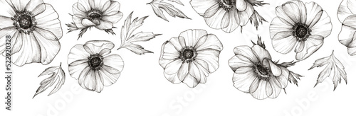 Foto Seamless horizontal border with black and white leaves and anemone flowers