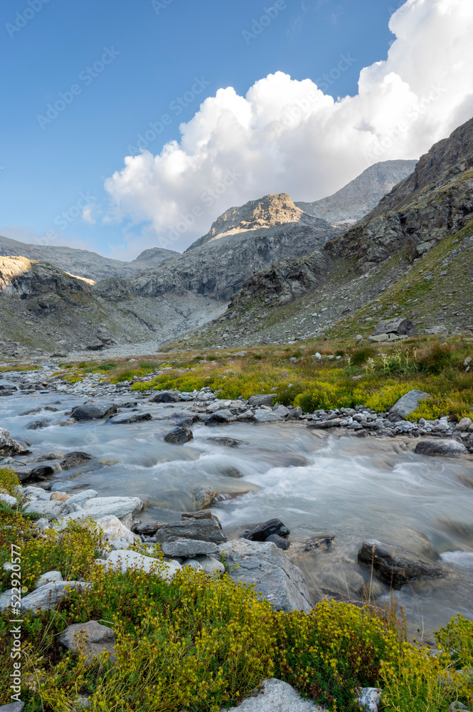 Torrent de montagne dans le vallon d'Ambin dans le massif de la Vanoise dans les Alpes en France en été