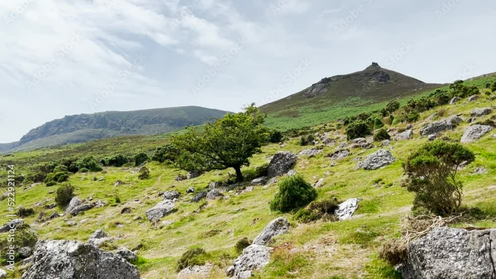 View of the Coumshingaun Lough Mountains with a single tree located on the field, Waterford, Ireland.