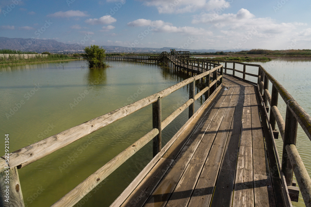 parque natural El Fondo, Elche, Alicante, Spain, Europe