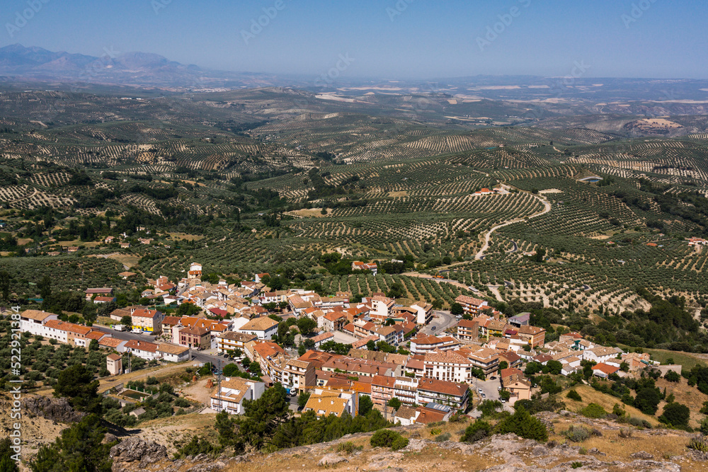 olivos de Jaen, parque natural sierras de Cazorla, Segura y Las Villas, Jaen, Andalucia, Spain