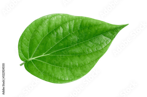 green betel leaf isolated on transparent background,png photo