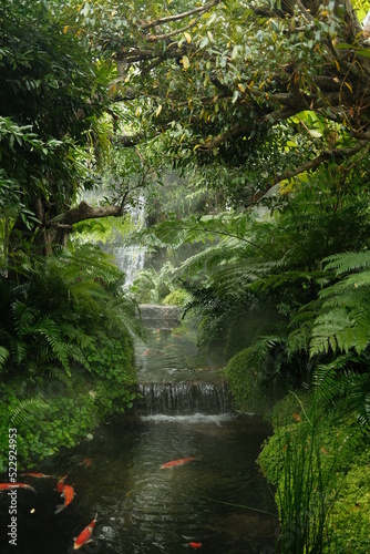 waterfall in the forest