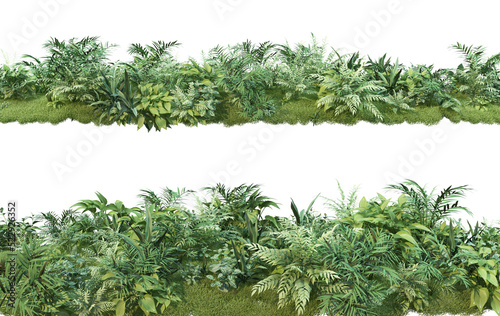 Shrubs and plants on a transparent background 