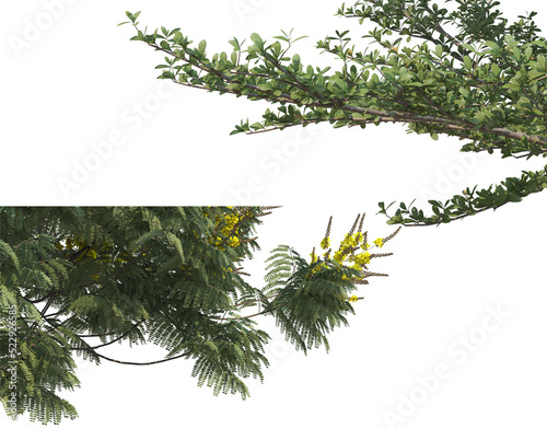 foreground twigs on a transparent background